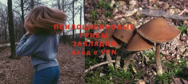а пвп мука Верея