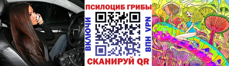 Купить где  Гагарин  Галлюциногенные грибы мухоморы 